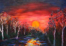 Sunset with Birch Trees161