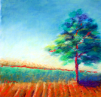 Another Tree in a Field Pastel on Board 200